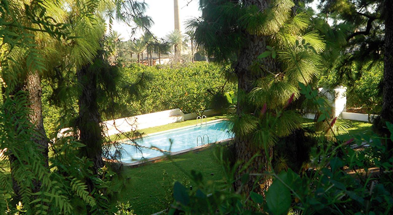 El Sequer Casa Rural Oliva Exterior foto